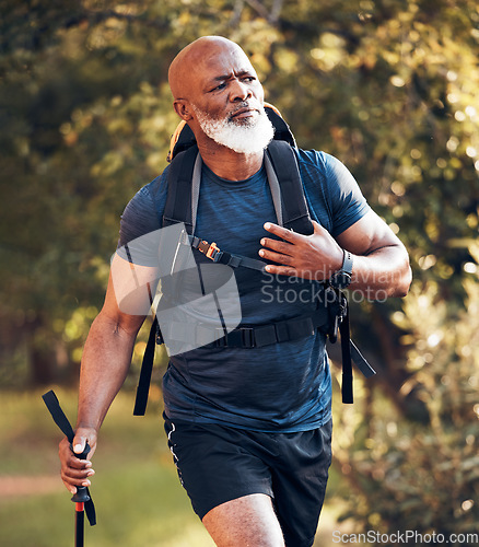 Image of Fitness, hiking and serious with black man in forest for freedom, health and sports training. Exercise, peace and wellness with senior hiker trekking in nature for travel, summer break and adventure