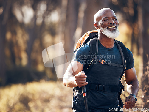 Image of Fitness, hiking and smile with black man in forest for freedom, health and sports training. Exercise, peace and wellness with senior hiker trekking in nature for travel, summer break and adventure