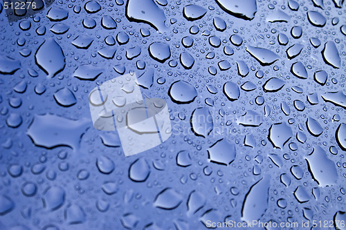 Image of Water Droplets