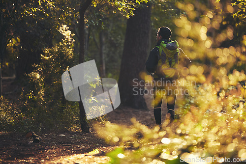 Image of Person, backpacking and hiking in nature forest, trekking woods or trees for adventure, relax workout or fitness exercise. Behind man, walking or hiker in environment, healthcare or morning wellness