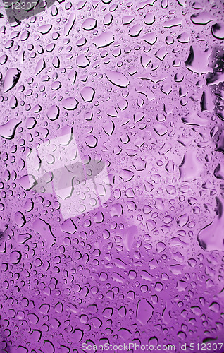 Image of Water Droplets