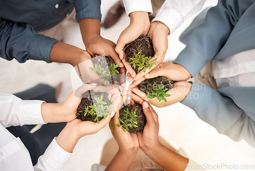 Image of Teamwork, environment and plant with hands of business people from top view for sustainability, earth day or growth. Wellness, support and soil with group for climate change, future and eco friendly