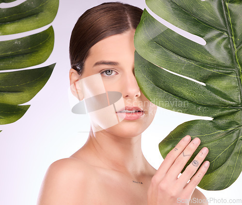 Image of Woman, portrait and monstera plants for beauty, natural cosmetics and aesthetic wellness on studio background. Face, model and skincare from green leaves, leaf and sustainability of vegan dermatology