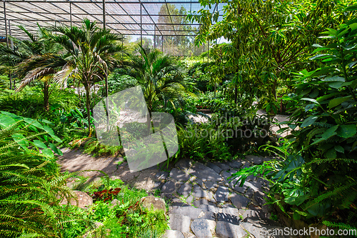 Image of The cold house Estufa Fria is a greenhouse with gardens, ponds, plants and trees in Lisbon, Portugal