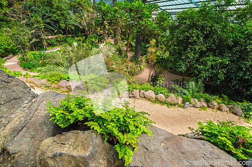 Image of The cold house Estufa Fria is a greenhouse with gardens, ponds, plants and trees in Lisbon, Portugal