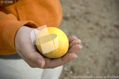 Image of golden egg