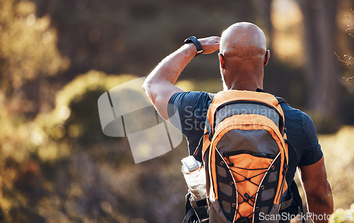 Image of Relax, hiking and fitness with black man in forest for sports, training and workout. Backpacking, peace and freedom with hiker trekking in nature enjoying view for travel, adventure and environment