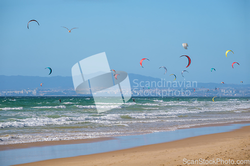 Image of Kiteboarding kitesurfing kiteboarder kitesurfer kites on the ocean beach