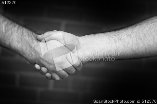 Image of Firm Handshake
