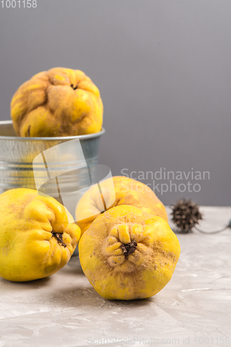 Image of Ripe quince fruits