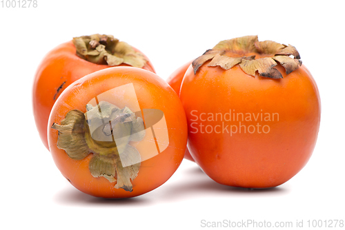 Image of Persimmon fruits on white 