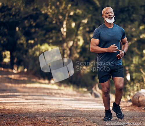 Image of Run, black man outdoor and fitness for health, thinking and training for balance, target and healthy lifestyle. African male, mature guy and athlete in forest, nature and concentration with exercise