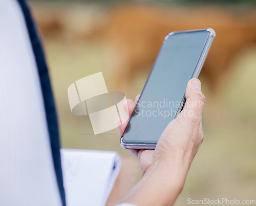 Image of Hands, phone screen and mockup with farmer on farm for advertising, marketing or product placement. Agriculture branding, agro technology and woman with 5g mobile smartphone for sustainable tech.