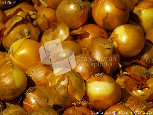 Image of onions