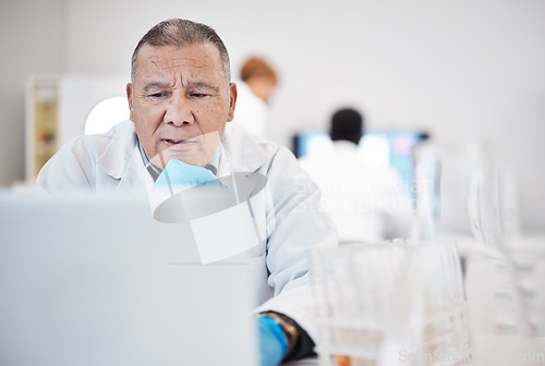 Image of Science, laptop and senior man with focus, online reading and check experiments results in laboratory. Research, male researcher and scientist with device, thinking or update sample for data analysis