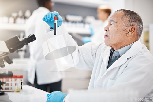 Image of Blood, science and senior scientist in laboratory with sample for research, medical study and investigation. Healthcare, pharmaceutical and old man with vial for dna testing, biology and rna analysis