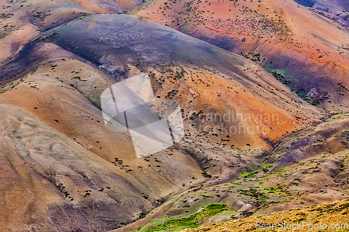 Image of Colors of Himalayas