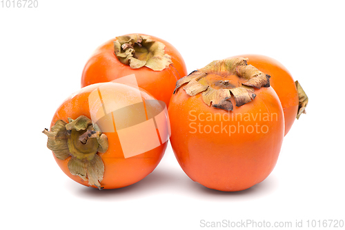 Image of Persimmon fruits on white 