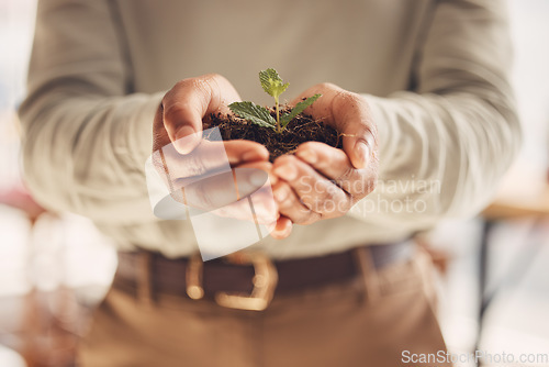 Image of Ecology, soil and leaves with growth and hands, environment and nature for Earth Day awareness and agriculture. Growing, plant and sustainability with business man, fertilizer and farming closeup