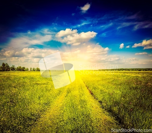 Image of Spring summer rural road in green field landscape