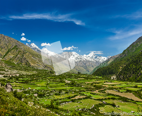 Image of Valley in Himalayas