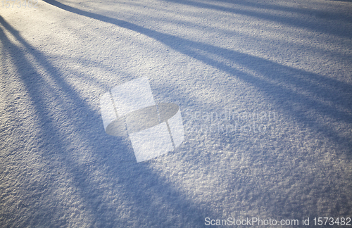 Image of shadows on wavy snowdrifts