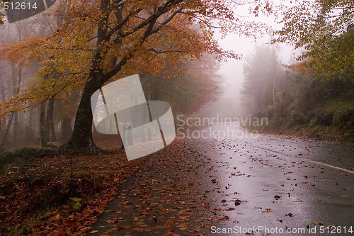 Image of Autumn colors