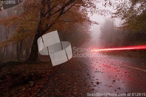 Image of Autumn colors