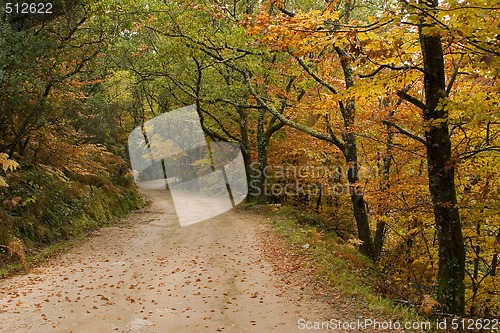 Image of Autumn colors