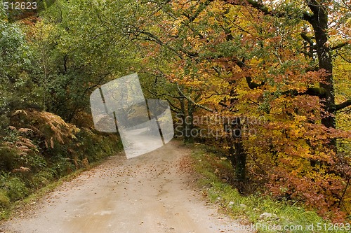 Image of Autumn colors