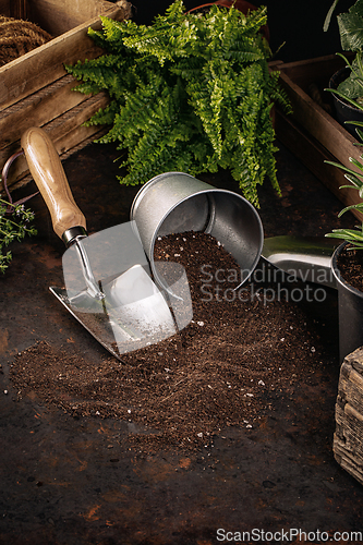 Image of Gardening tools composition