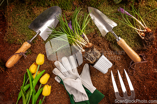Image of Spring gardening concept