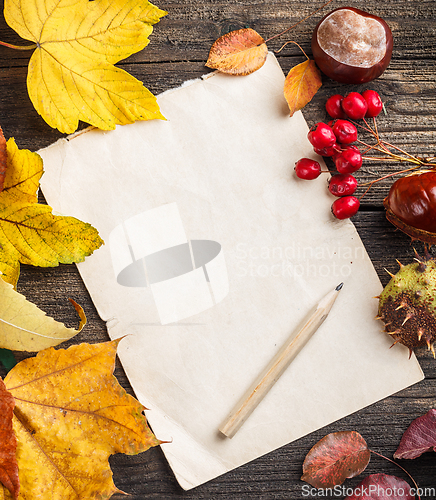 Image of Autumn leaves