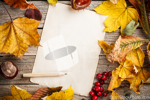 Image of Autumn leaves