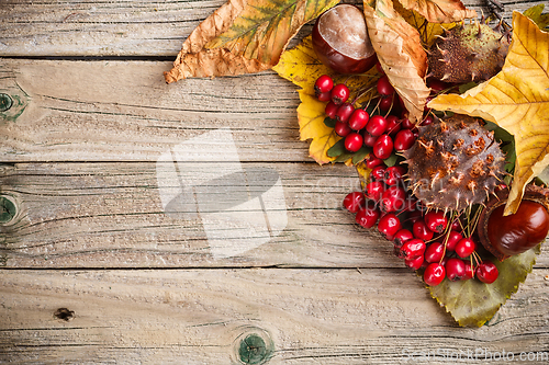 Image of Border made of autumn leaves