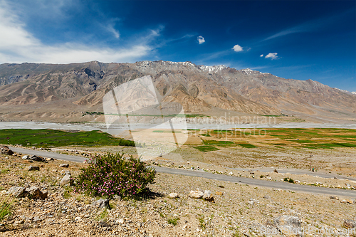 Image of Road in Himalayas