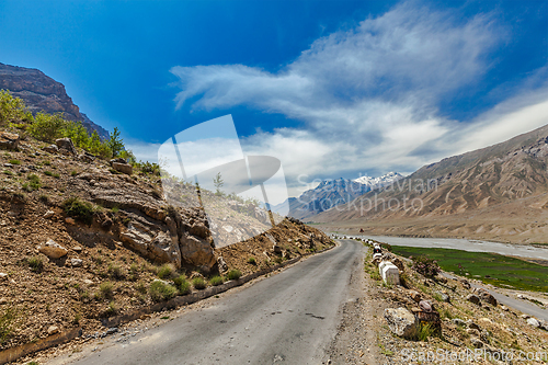 Image of Road in Himalayas