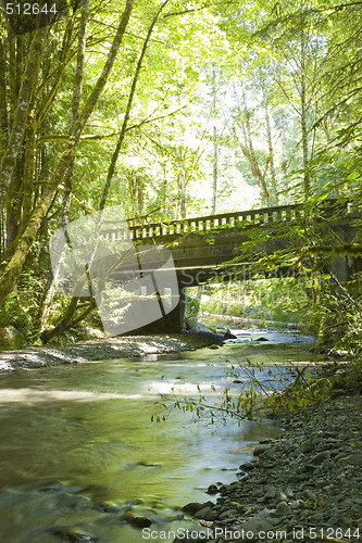 Image of Olympic National Park