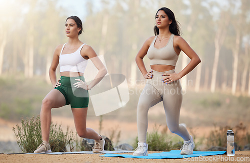 Image of Fitness, lunges or friends in nature in yoga exercise workout or legs training in healthy lifestyle. Athlete girls, women or sports people exercising for body goals together in forest in summer