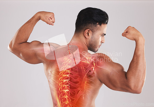 Image of Back, man and spine with x ray, fitness and bicep arms with guy against grey studio background. Male athlete, bodybuilder and gentleman after training, health and strong with anatomy and skeleton