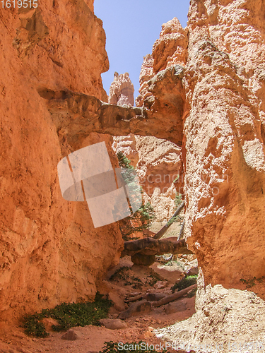 Image of Bryce Canyon National Park