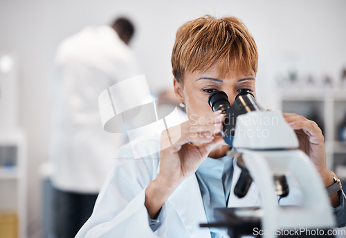 Image of Check, microscope and science with black woman in laboratory for experiment, medical and pharmacy. Healthcare, medicine and results with expert looking for pathology, test and sample analysis