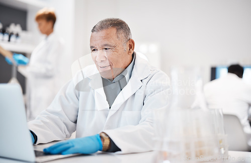 Image of Man, scientist and typing on laptop in lab, medical research with senior phd doctor and enter experiment results online. Scientific innovation, male in biology and digital record of science test