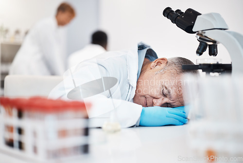 Image of Scientist sleeping, tired and overwork with man and burnout with insomnia from overtime. Medical research, scientific stress and senior male in science, fatigue and overwhelmed in laboratory