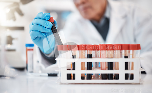 Image of Blood, test tube and hands of scientist in laboratory with sample for research, medical study and science. Healthcare, pharmaceutical and old man with vial for dna testing, biology and rna analysis