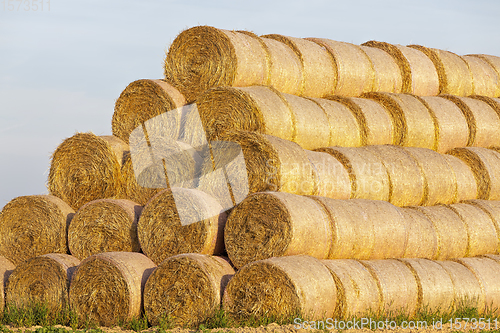 Image of haystacks with straw