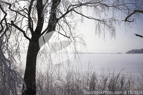 Image of white fresh snow