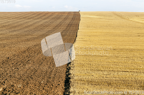 Image of a half plowed agricultural field