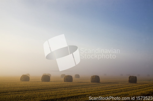 Image of straw stacks