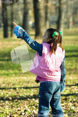 Image of child looking up in the park